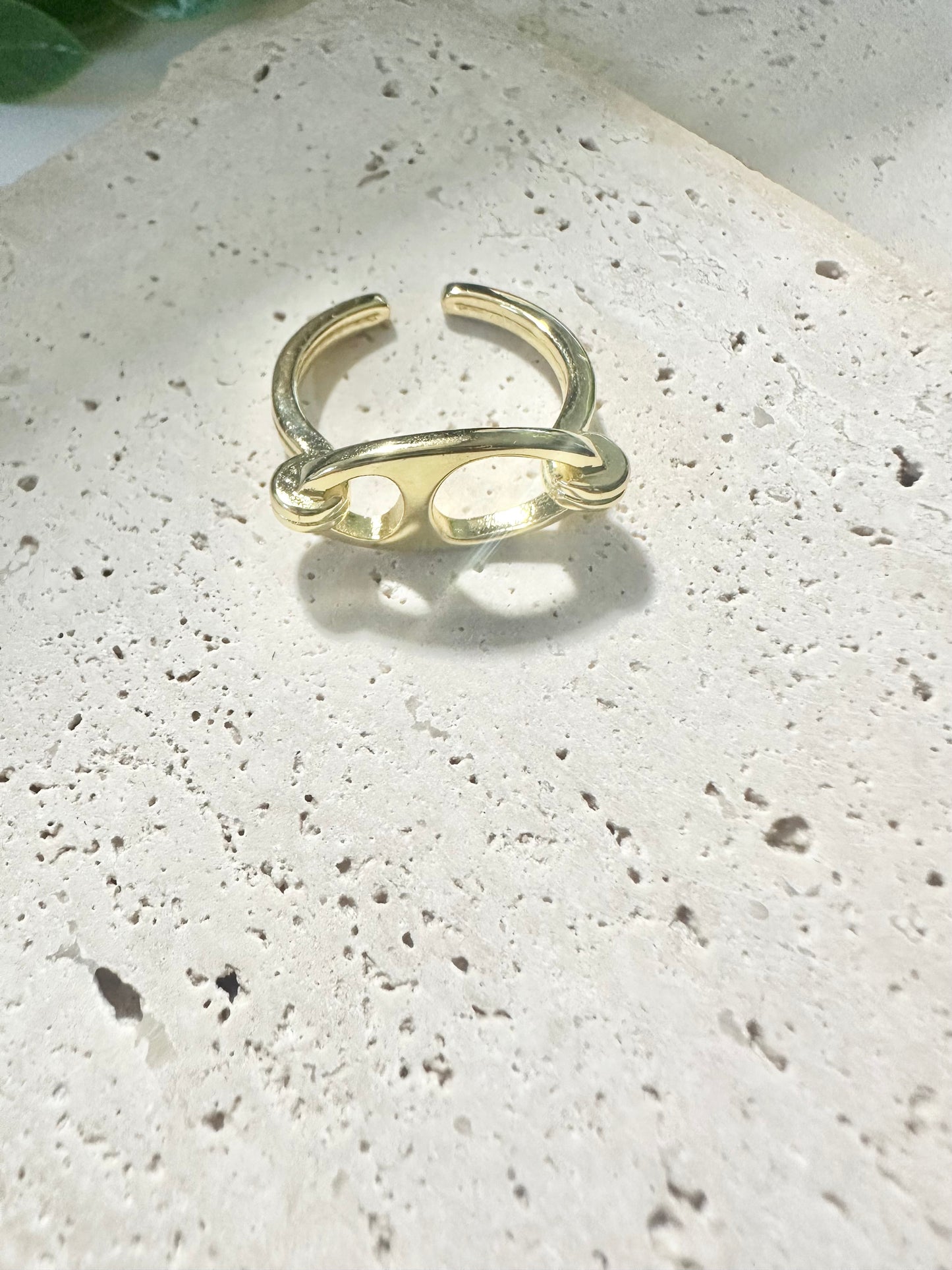 Anillos de Elegancia Eterna